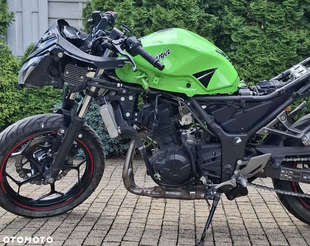 Kawasaki Ninja 300 ABS - 15