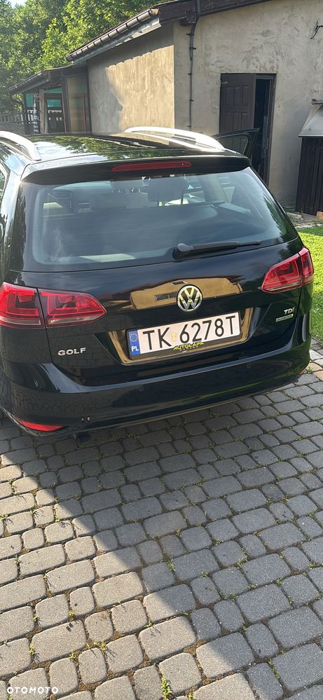 Volkswagen Golf - 7