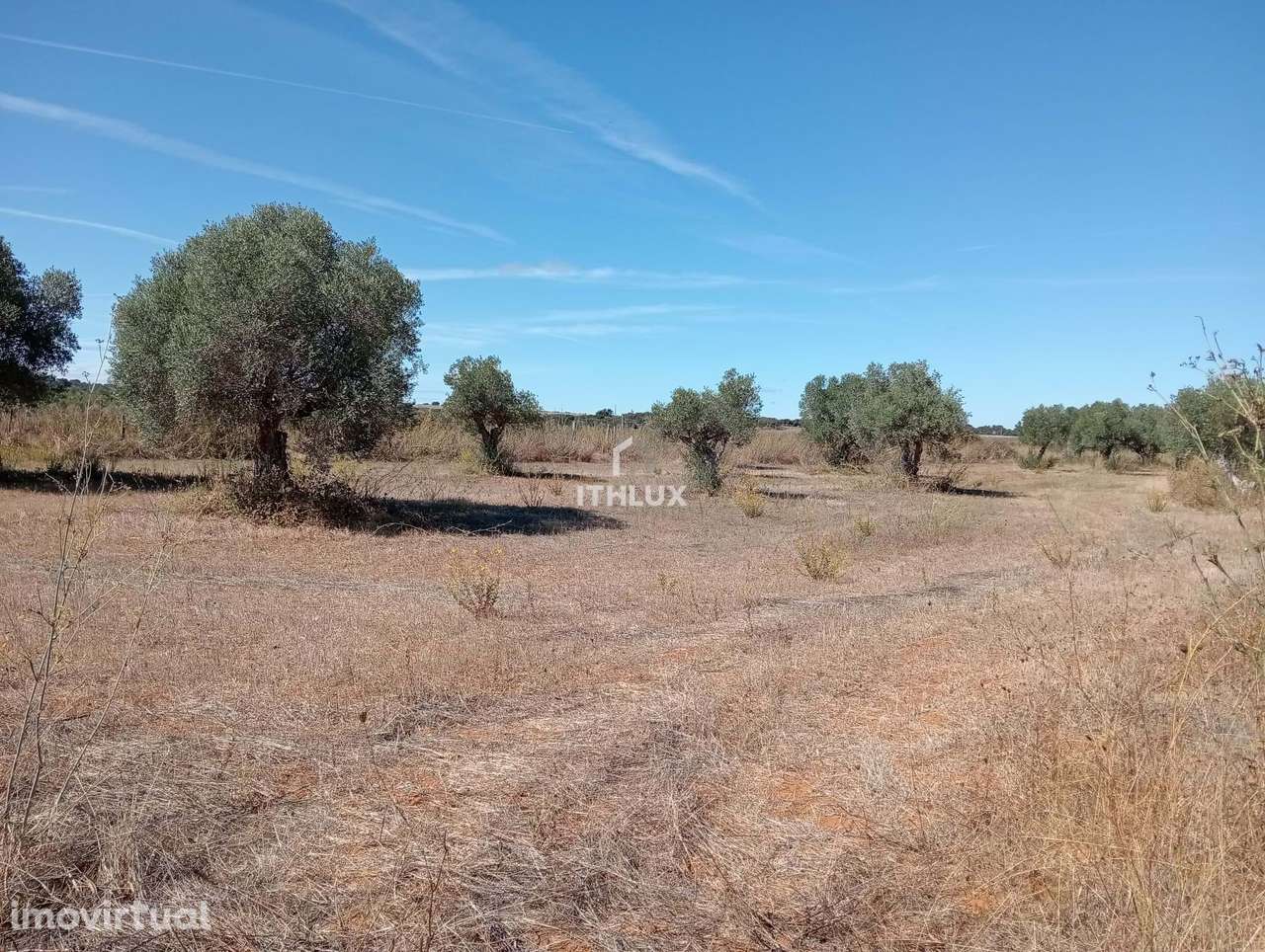 Refúgio Rural com Água Natural – 1,15 ha de Potencial - Grande imagem: 2/8