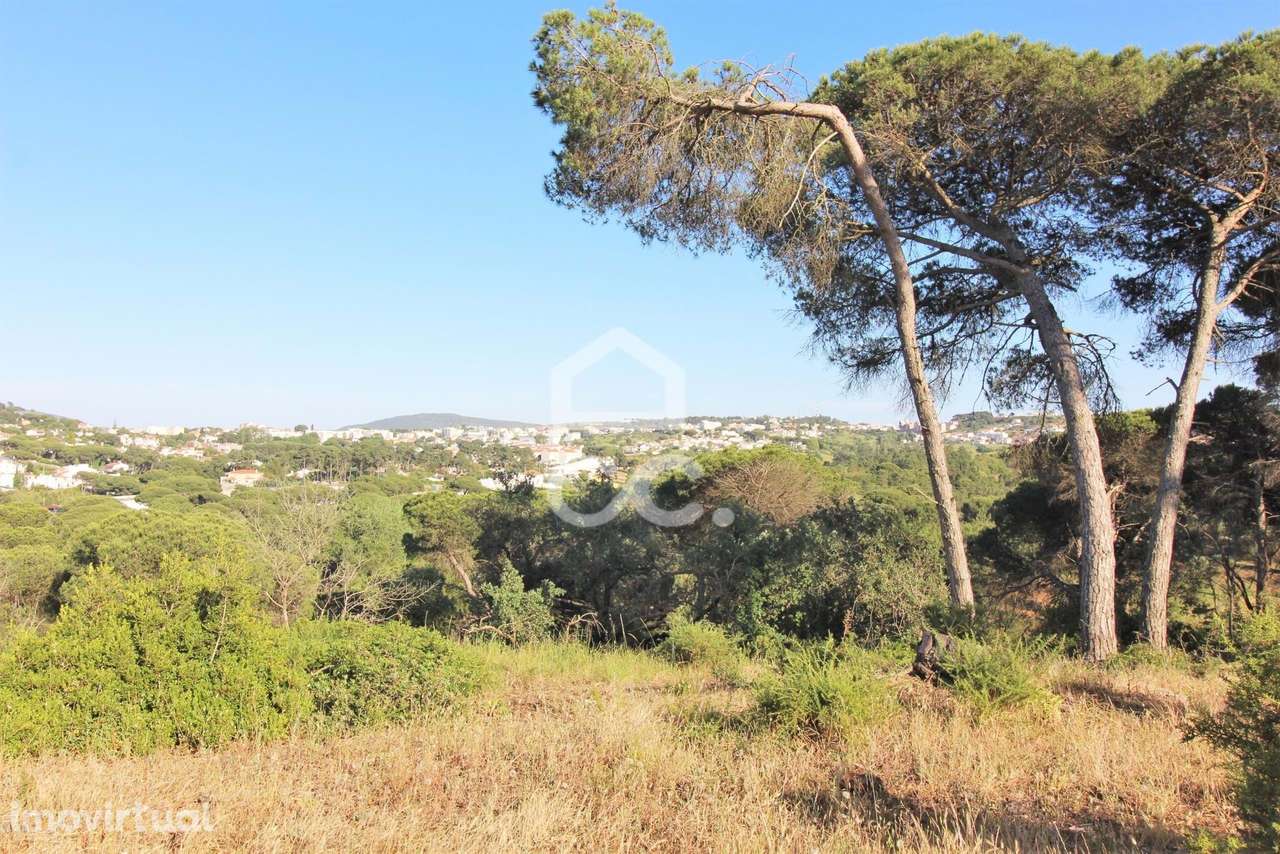 Terreno Urbano de 704m2 em Sesimbra - Grande imagem: 5/10