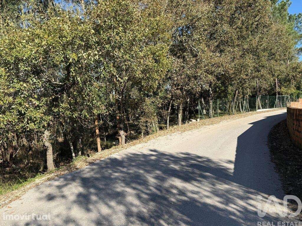 Terreno para construção em Pedreiras - Grande imagem: 3/18