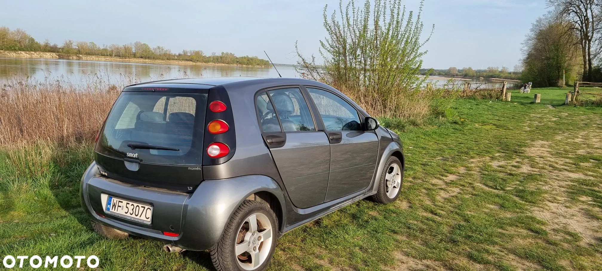 Smart Forfour passion - 13
