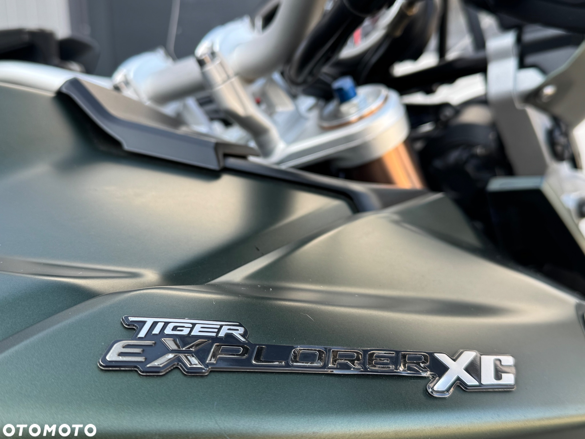 Triumph Tiger - 21