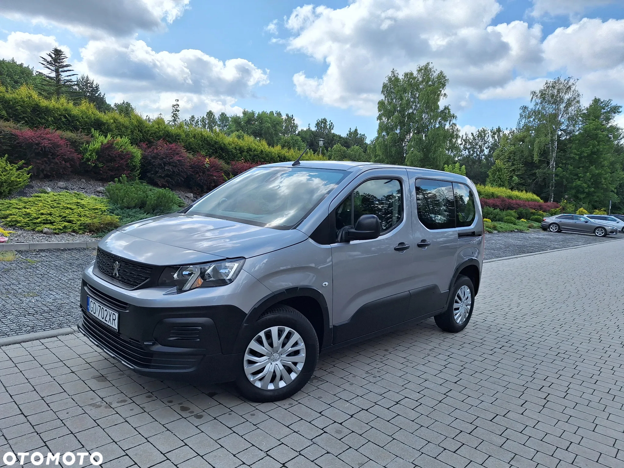 Peugeot Rifter 1.5 BlueHDI Active Pack S&S - 27