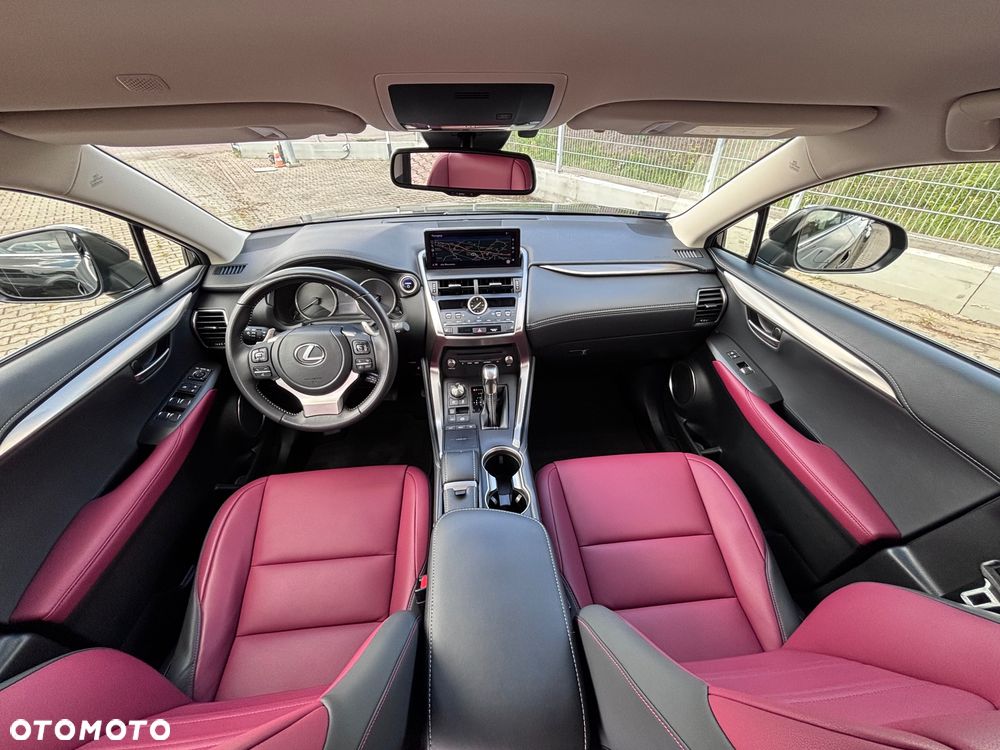 Lexus NX 300h F Impression AWD - 16