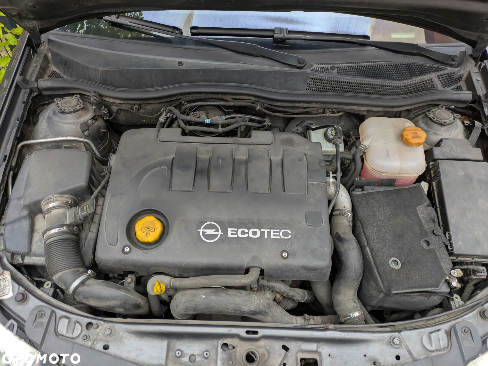 Opel Astra III 1.9 CDTI Essentia - 21