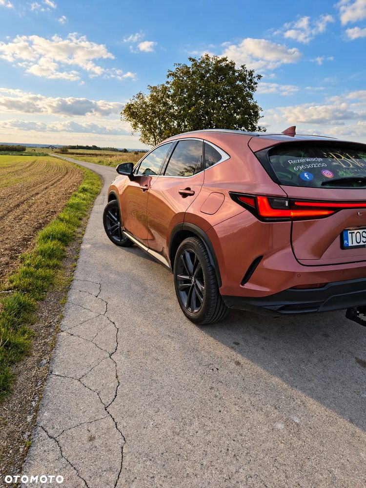 Lexus NX - 17