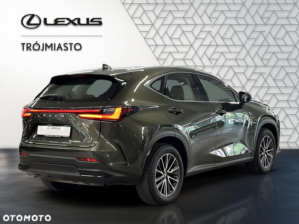 Lexus NX 350h Business AWD - 6