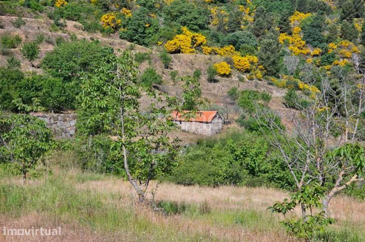 Terreno com 6 hectares - Grande imagem: 3/22