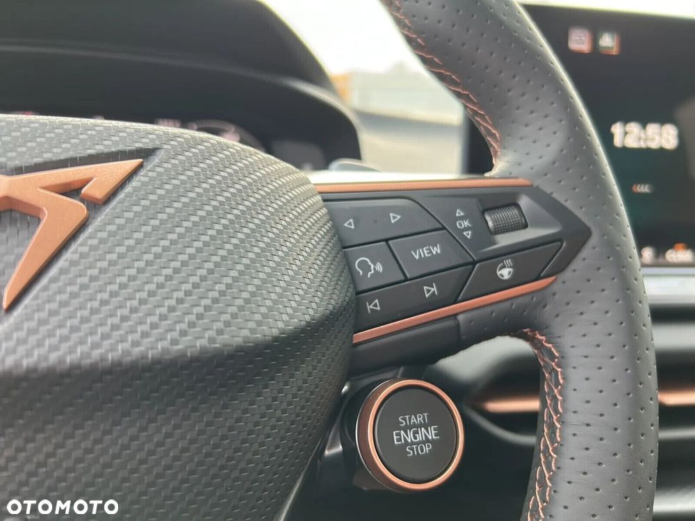 Cupra Terramar - 16