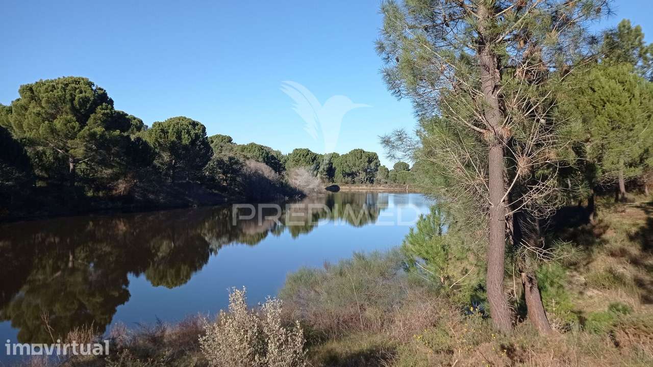 Conjunto de duas herdades 71,70 hectares, junto à vila de Mora. - Grande imagem: 3/34