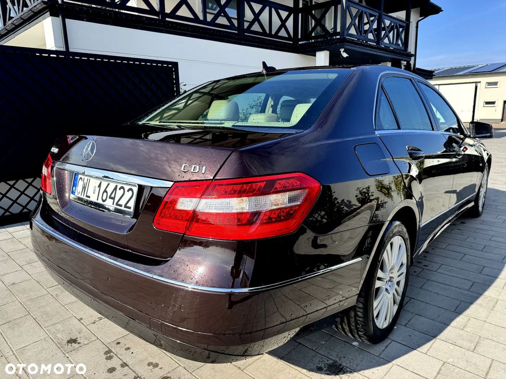 Mercedes-Benz Klasa E 250 CDI 7G-TRONIC Elegance - 16