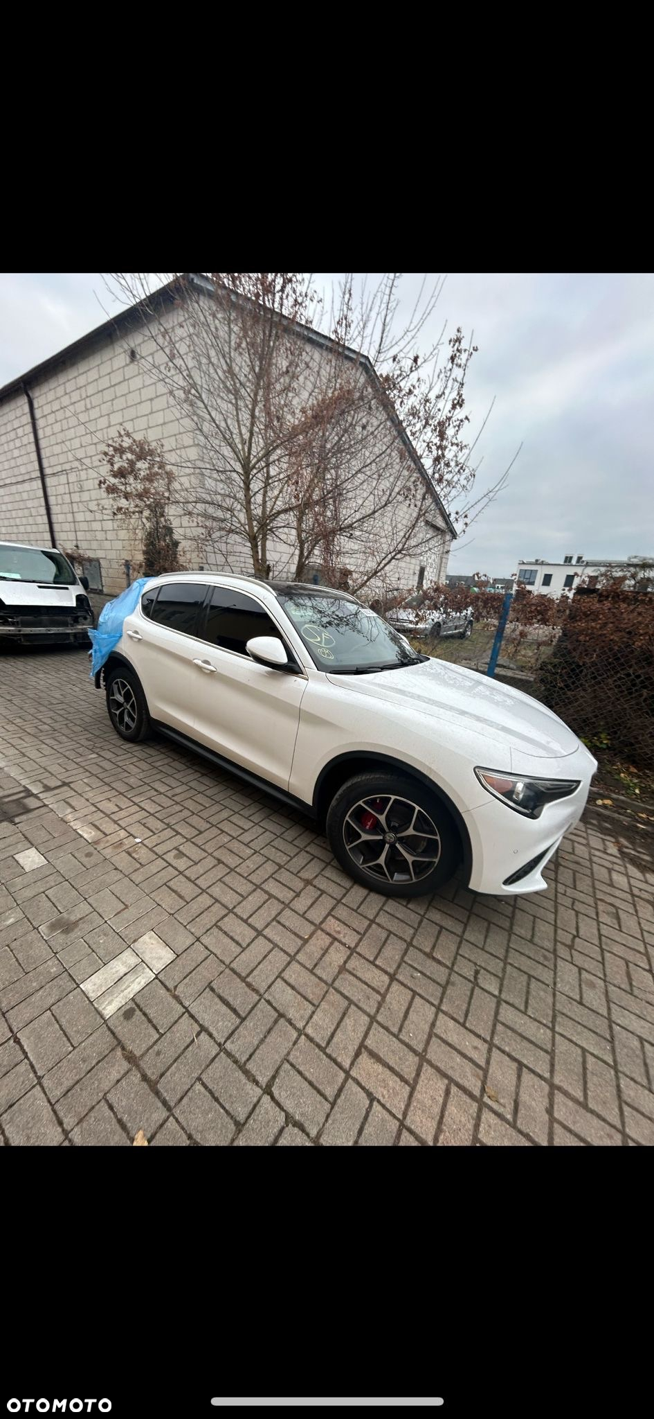 Alfa Romeo Stelvio 2.0 Turbo TI Q4 - 20