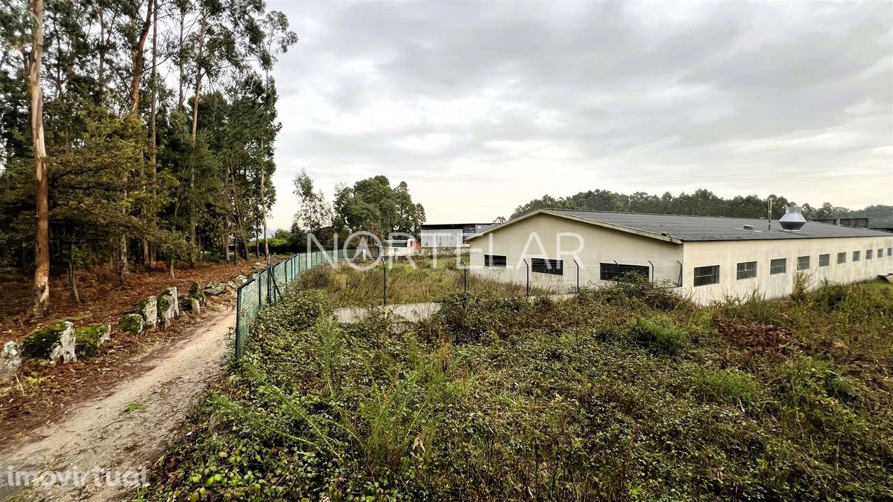 Terreno Industrial - São Mamede Coronado, Trofa - Grande imagem: 3/13