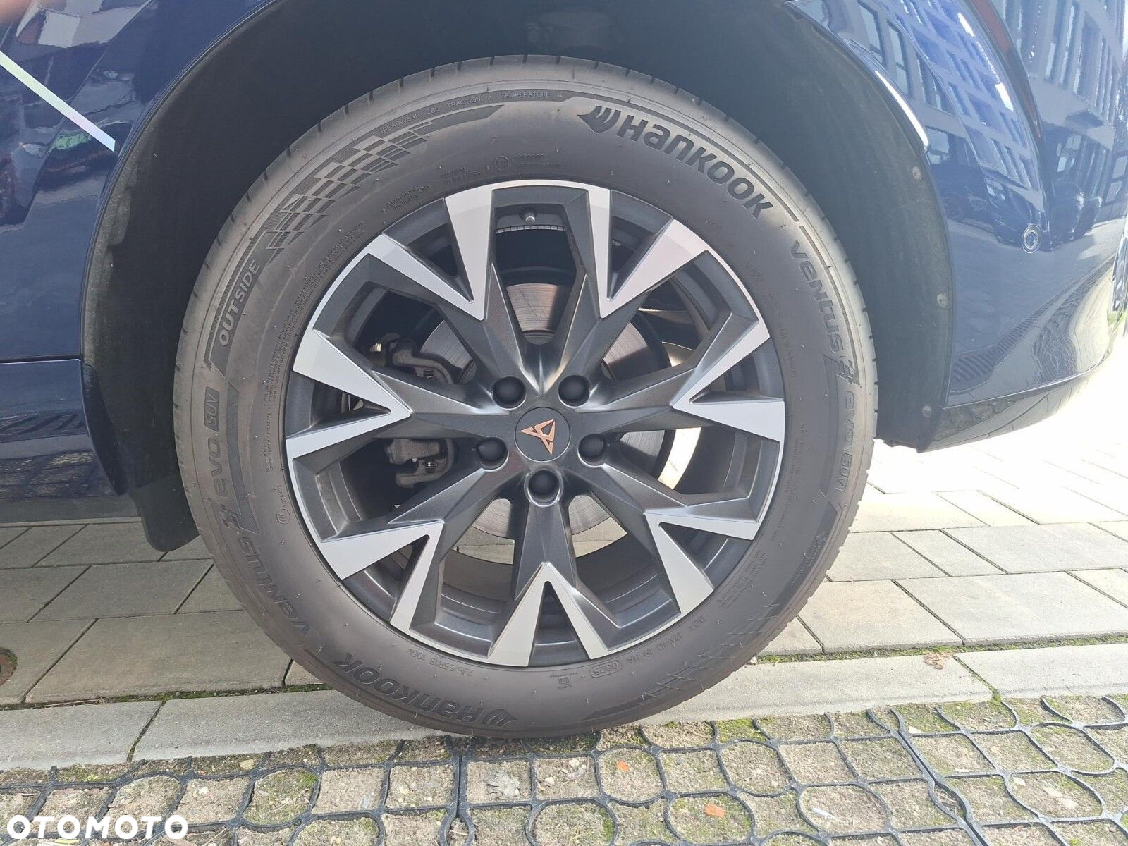 Cupra Terramar - 29