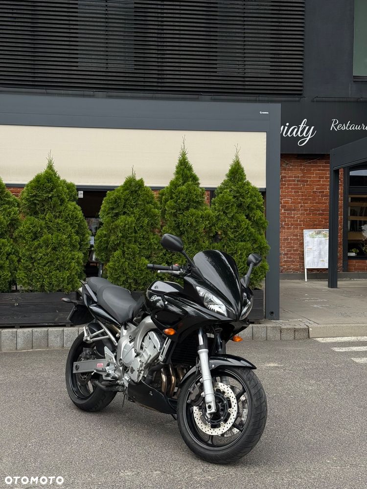 Yamaha FZ6 - 1