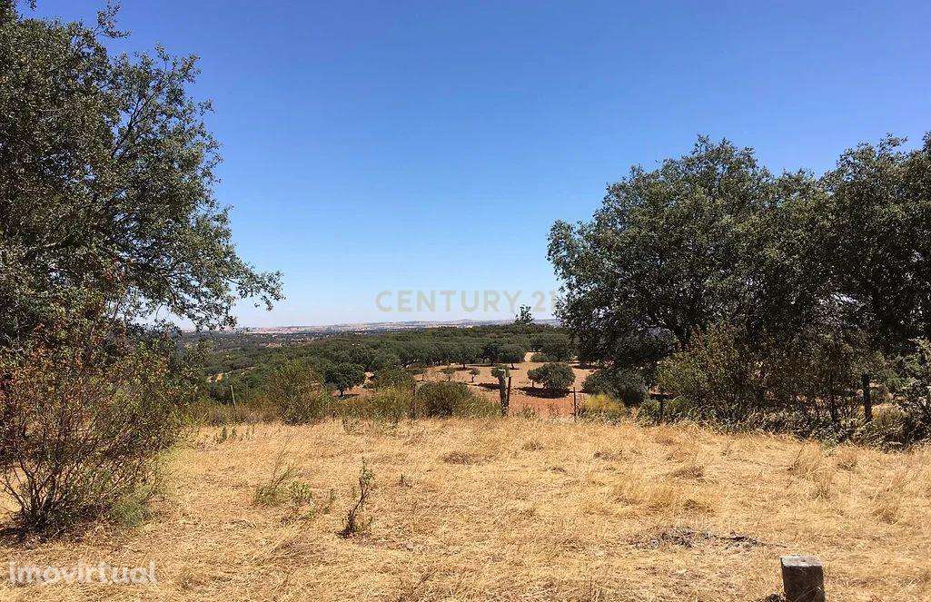 Terreno urbano em Vila Viçosa - OPORTUNIDADE. - Grande imagem: 4/12