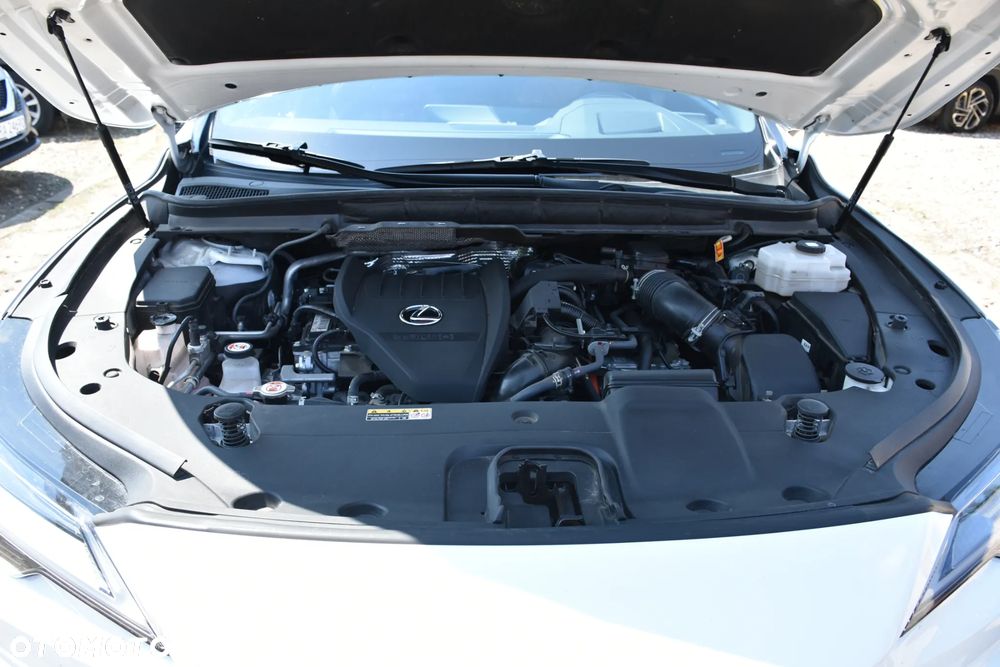 Lexus RX - 23