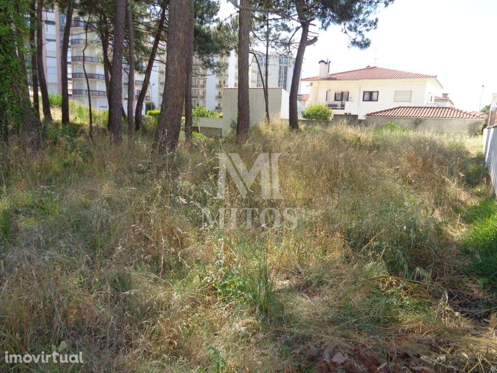 Lote p/ construção - Amorosa - Grande imagem: 3/4