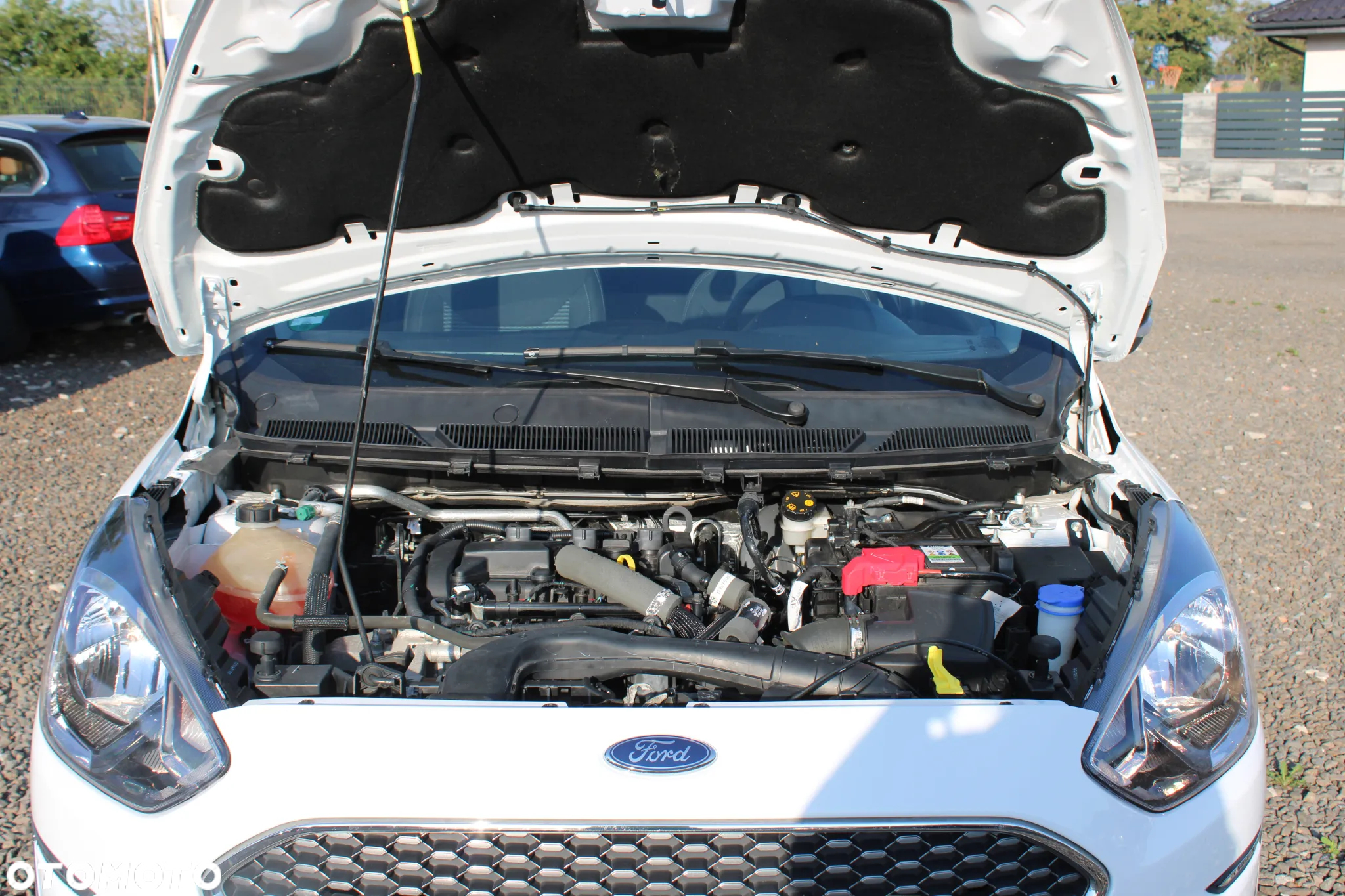 Ford Ka+ 1.2 S&S White - 19