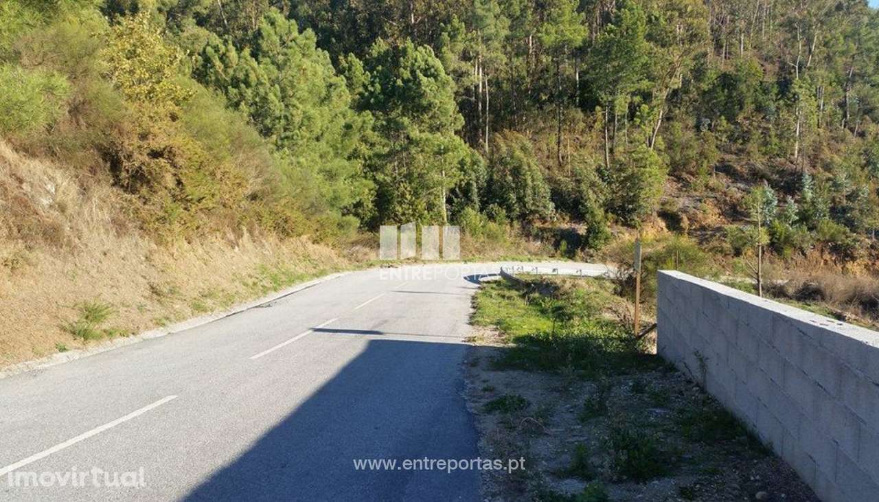 Venda Terreno,Tresouras, Baião - Grande imagem: 2/13