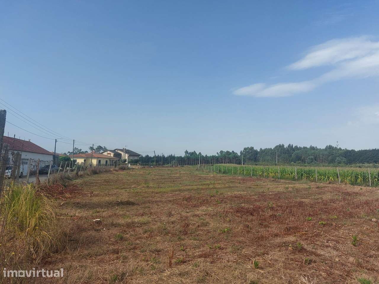 Terreno Rústico com 4.195 m2 em Oiã - Grande imagem: 5/11