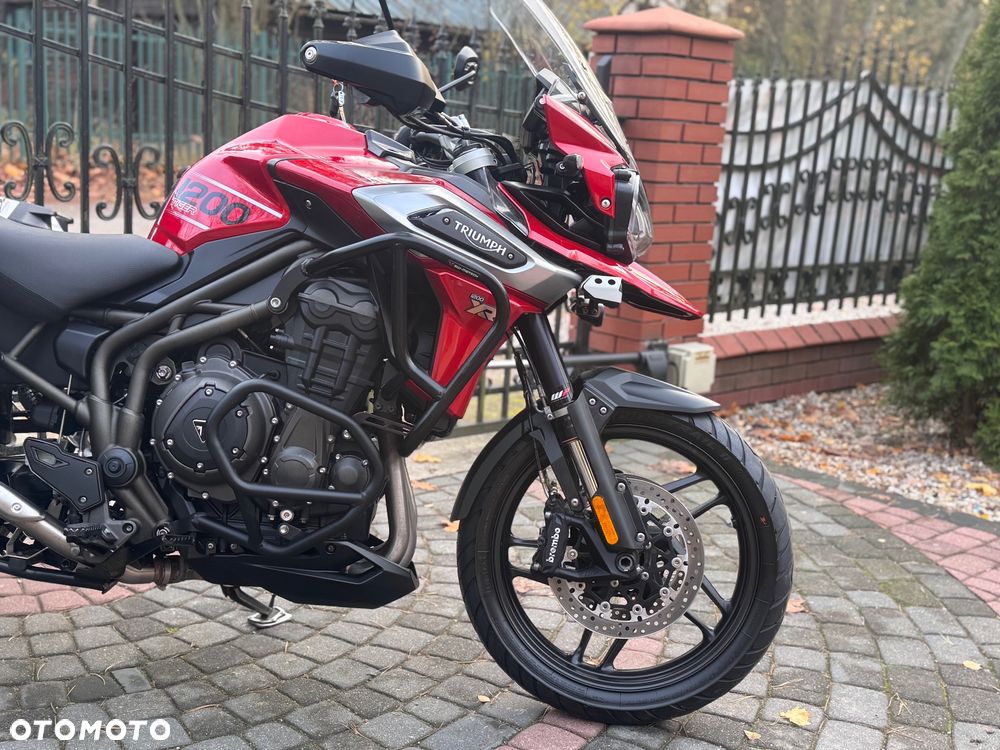 Triumph Tiger - 10