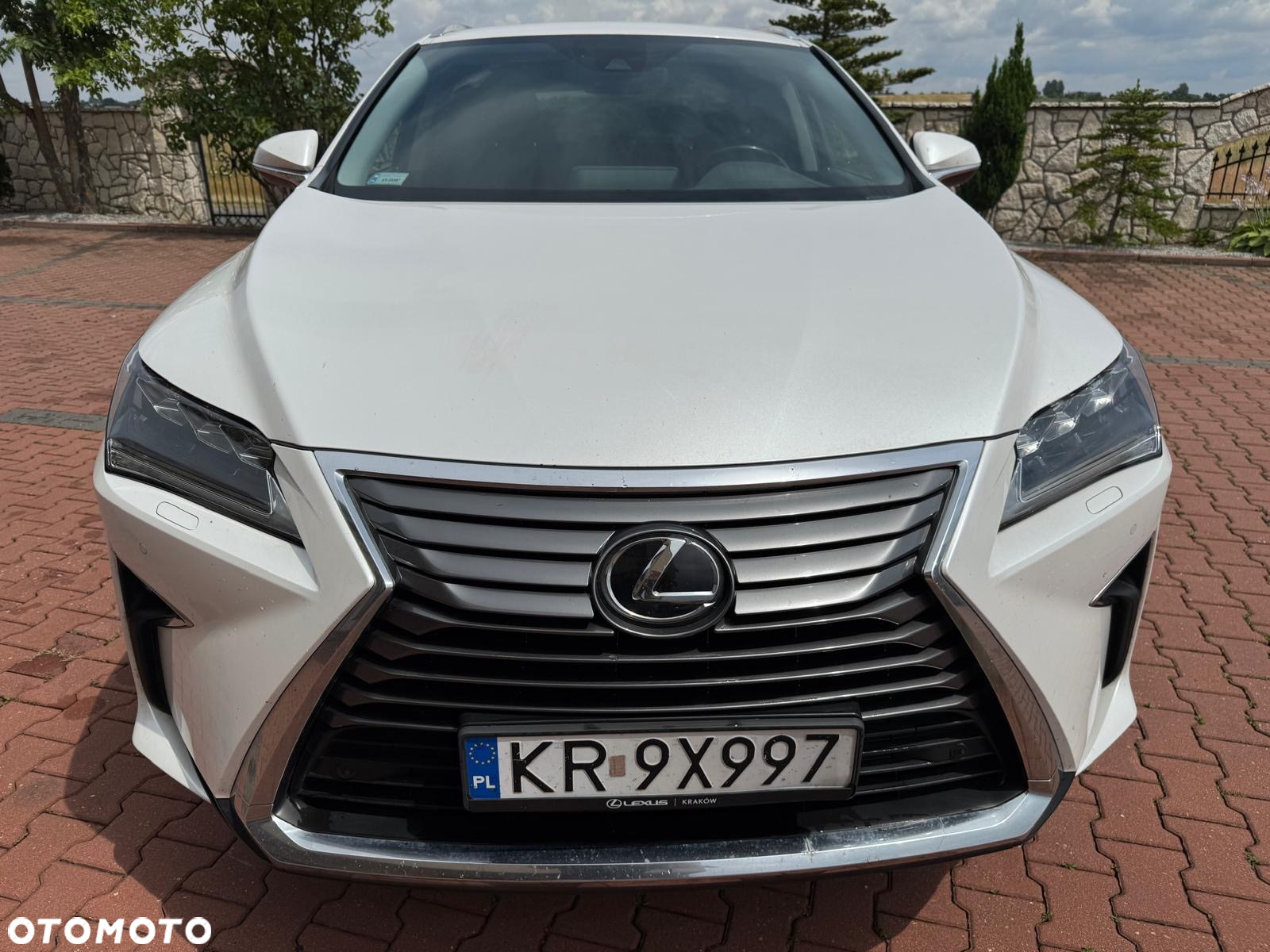 Lexus RX 200t / 300 Elegance - 12