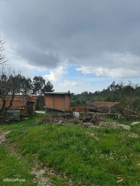 Quinta Agrícola a 5 minutos da A25 - Grande imagem: 3/7