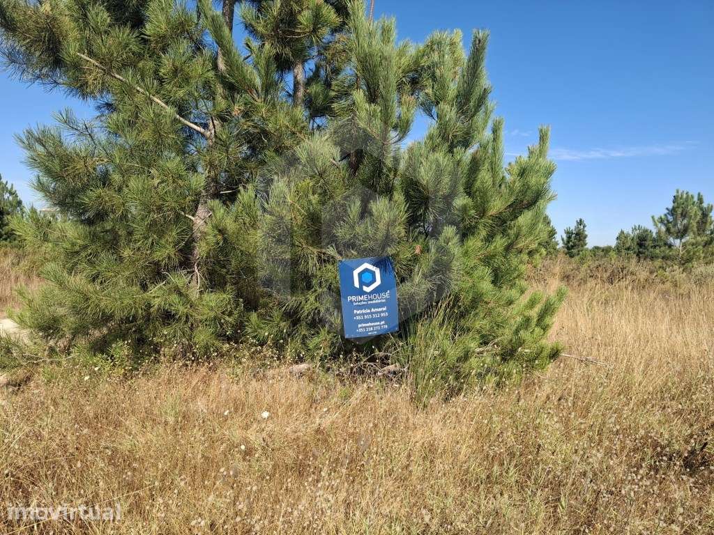 Terreno Agrícola com 191.590 m² à Venda - Poceirão, Palmela - Grande imagem: 4/22