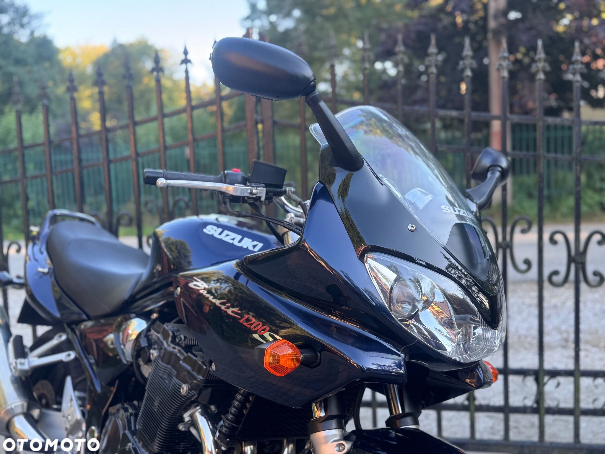 Suzuki Bandit - 11