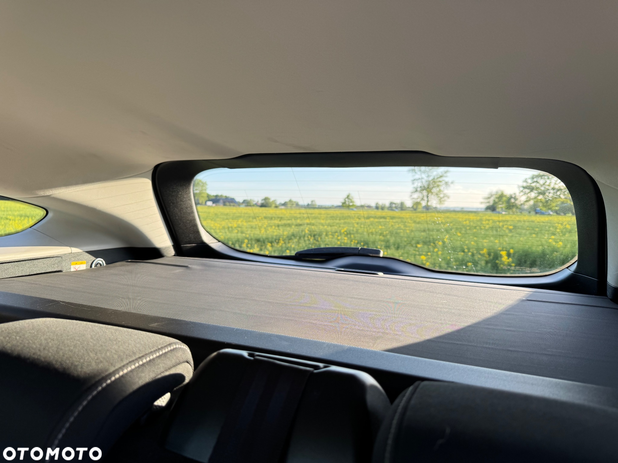 Ford Focus - 26