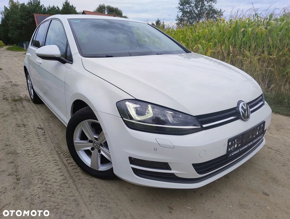 Volkswagen Golf - 27