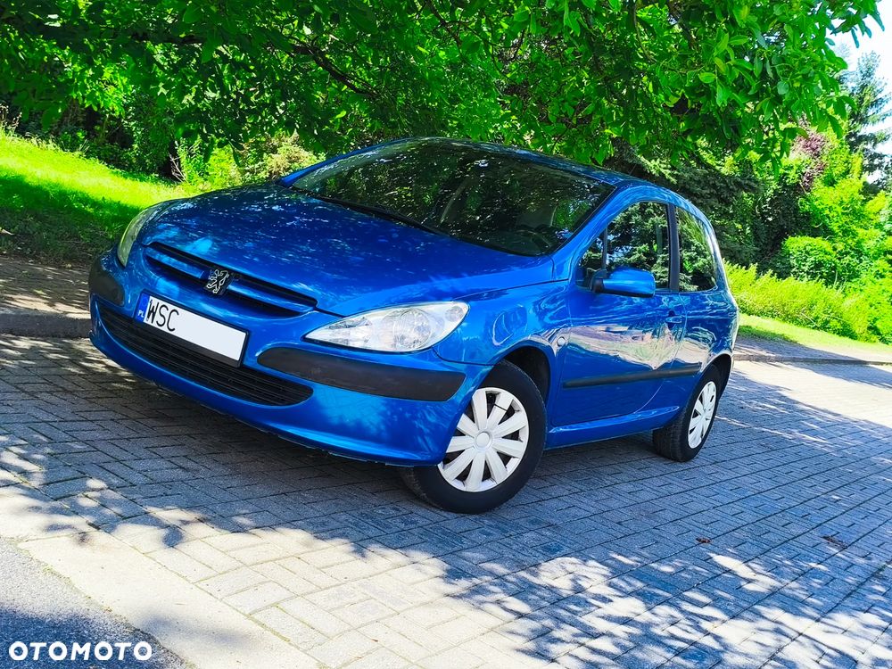 Peugeot 307 1.6 XS - 1