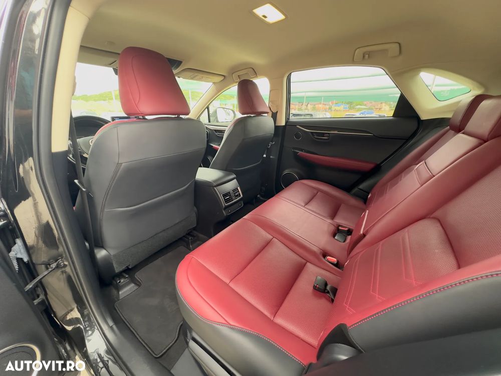 Lexus Seria NX ver-300h-awd-luxury - 17