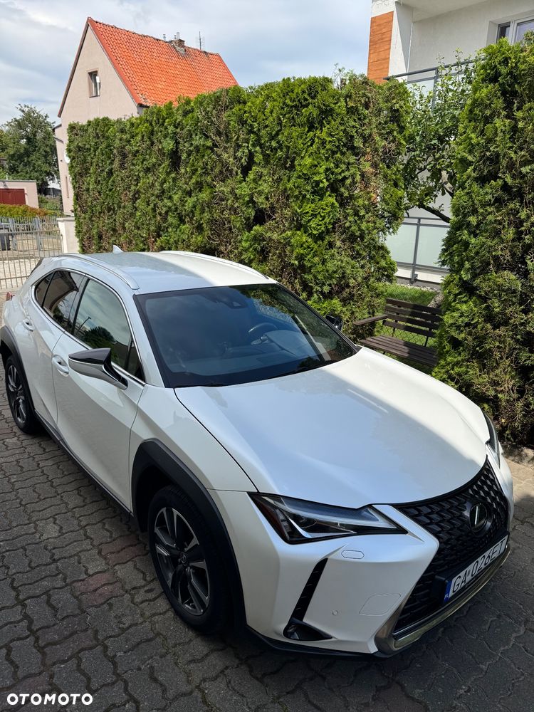 Lexus UX 200 GPF Business 2WD - 11