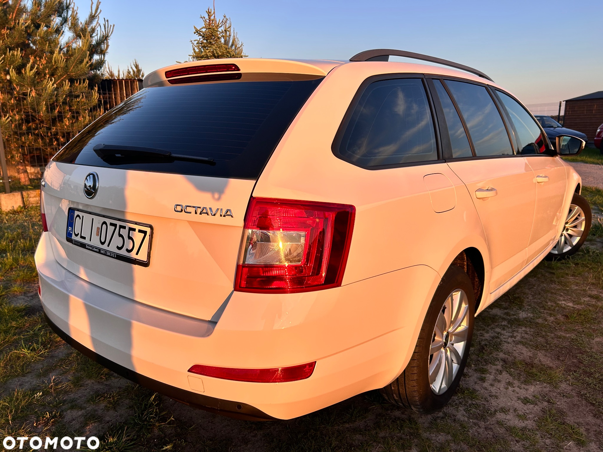 Skoda Octavia - 12