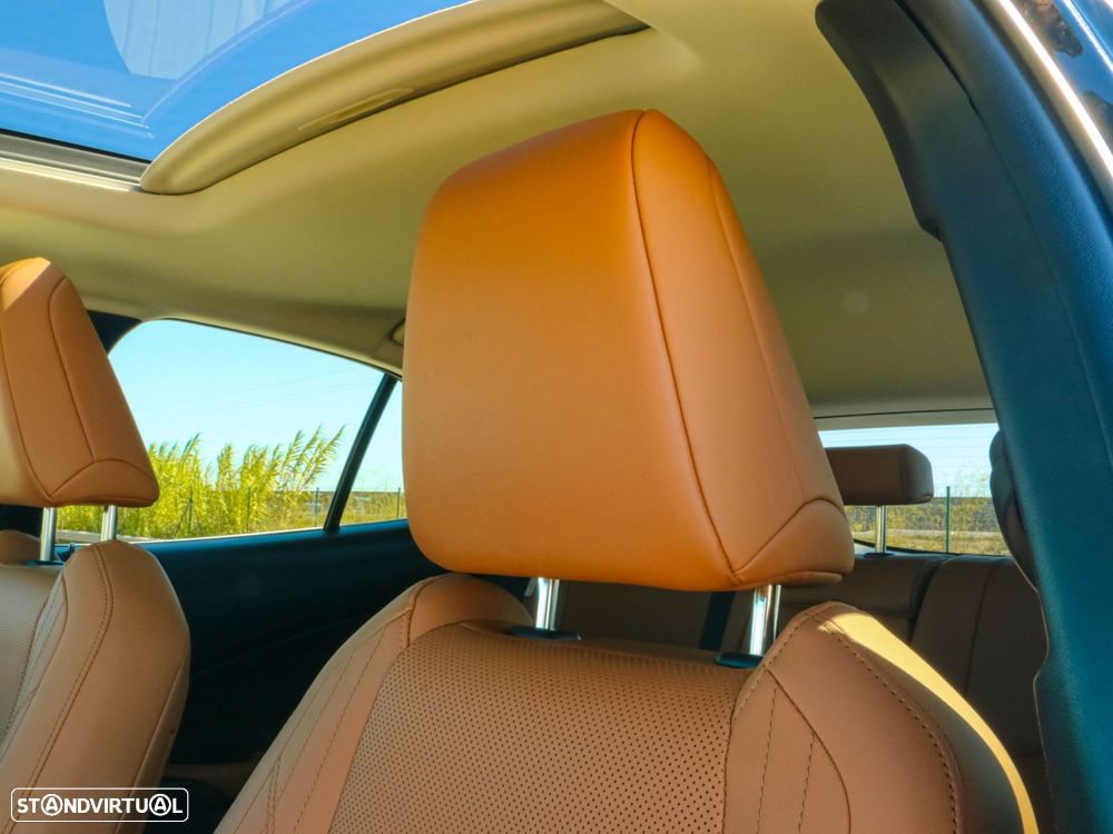 Lexus UX 250h Premium - 41