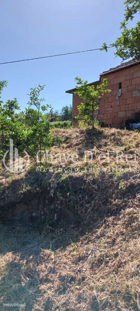 Quintinha  Venda em São Miguel do Mato,Vouzela - Grande imagem: 4/10