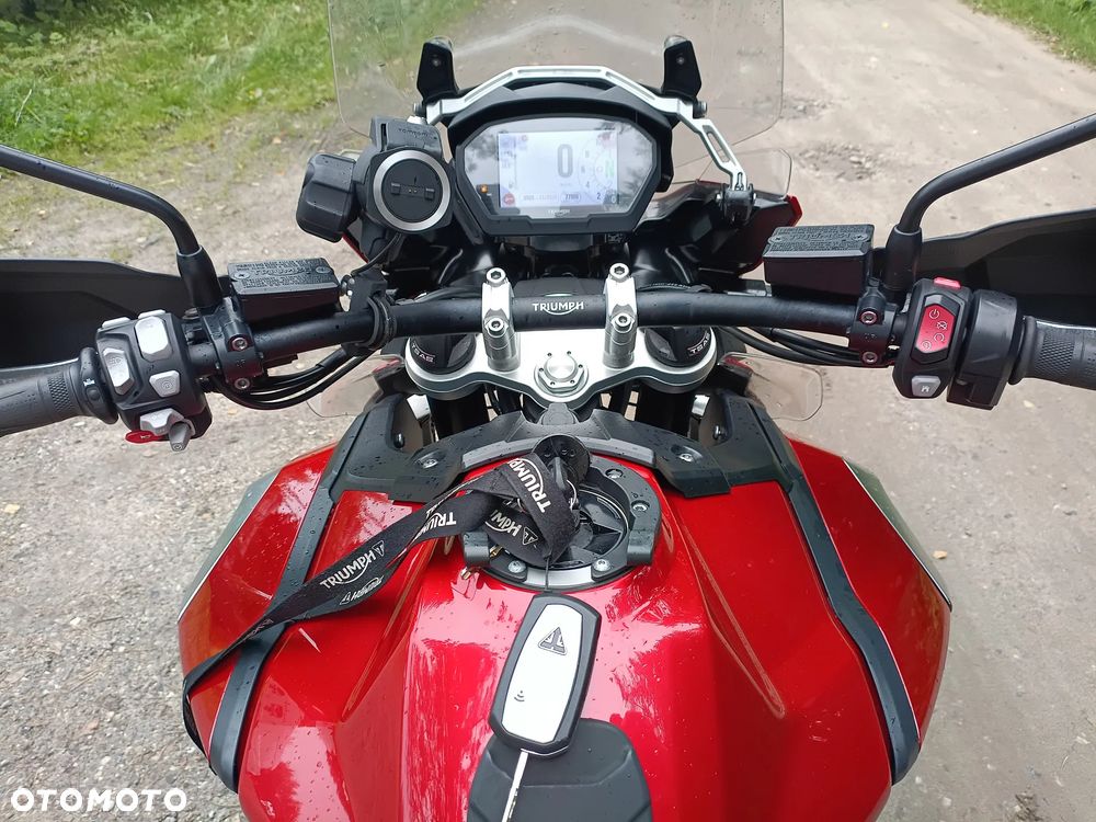 Triumph Tiger - 16