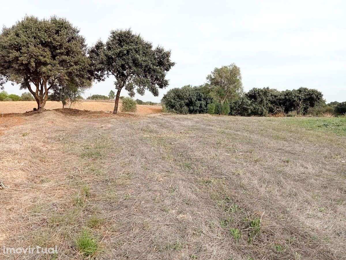 Terreno, 10 200 m², Achete, Azoia de Baixo e Póvoa de Santarém - Grande imagem: 3/7