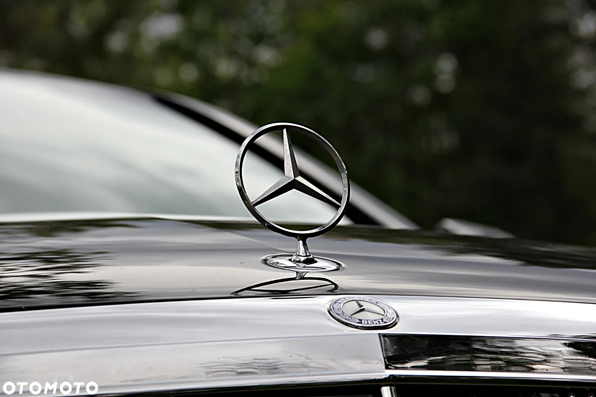 Mercedes-Benz Klasa S 350 (BlueTEC) d L 7G-TRONIC - 21