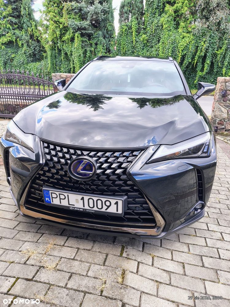 Lexus UX 250h Prestige 2WD - 7