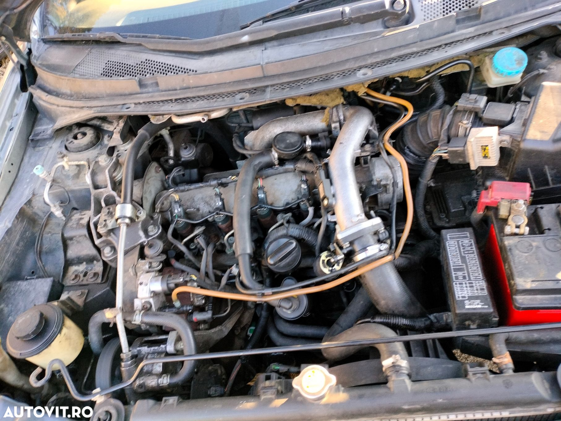 Dezmembrari  Nissan PRIMERA (P12, WP12)  2002  > 0000 1.9 dCi Motorina - 8