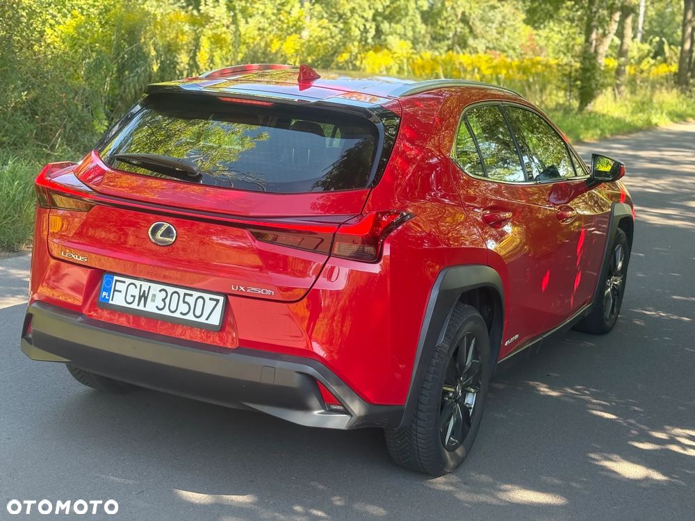 Lexus UX - 21