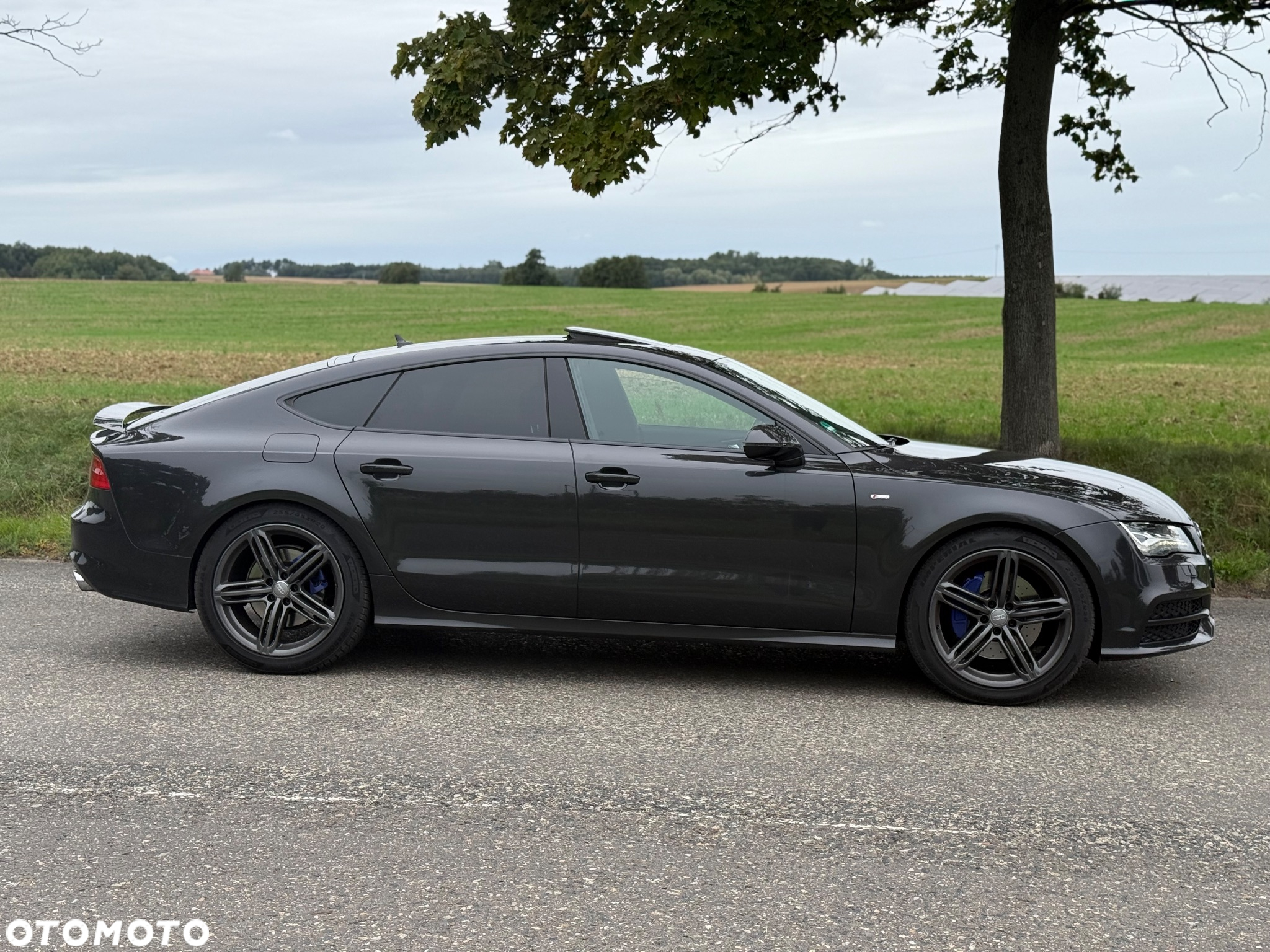 Audi A7 Sportback 3.0 TDI Quattro Tiptronic - 9