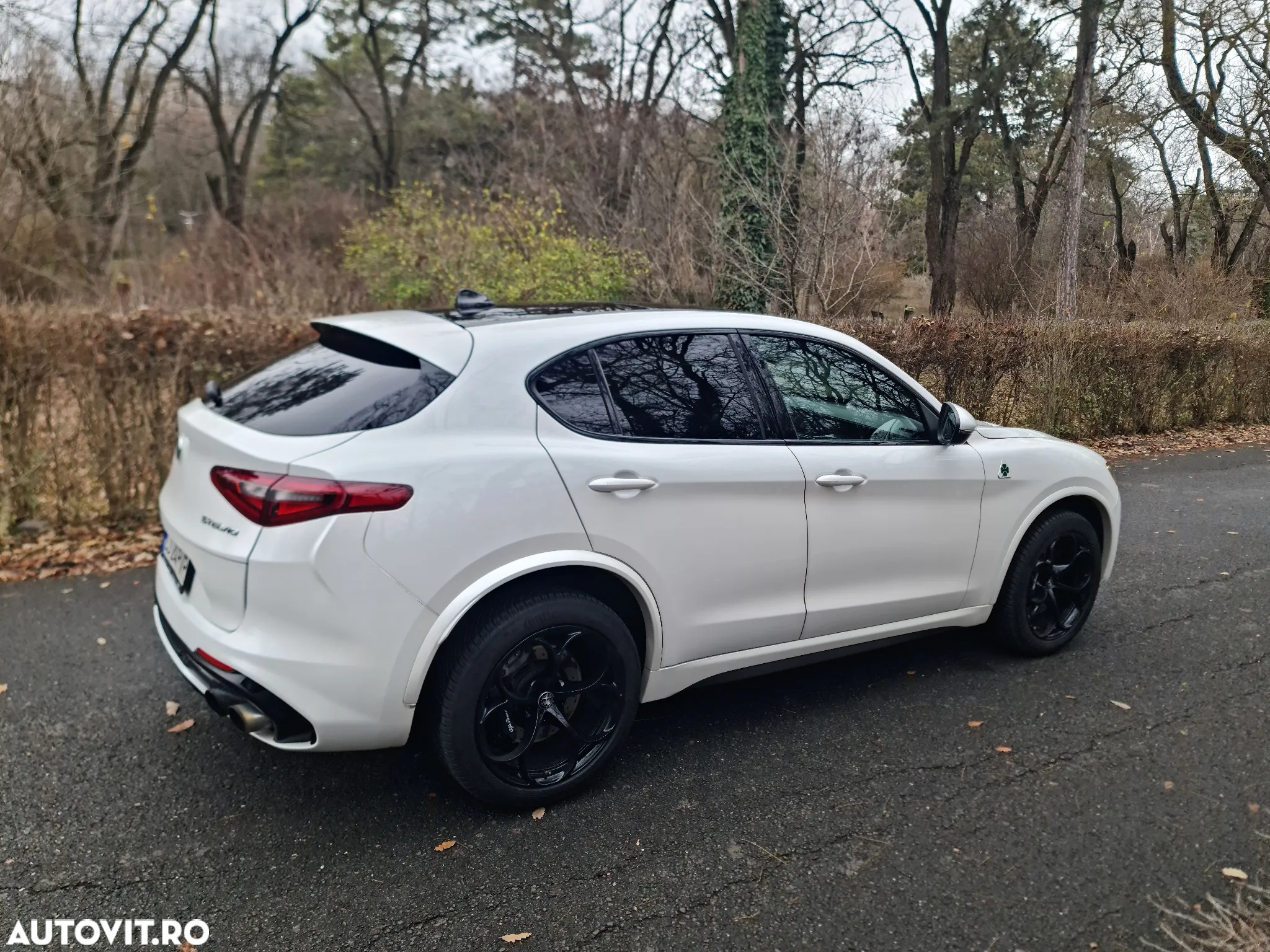 Alfa Romeo Stelvio 2.9 V6 Turbo AWD AT8 Quadrifoglio - 7