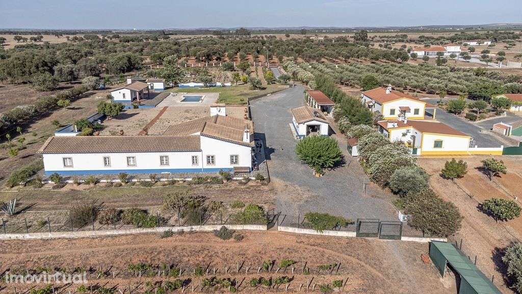 Quinta com piscina em Ferreira do Alentejo - Grande imagem: 3/19