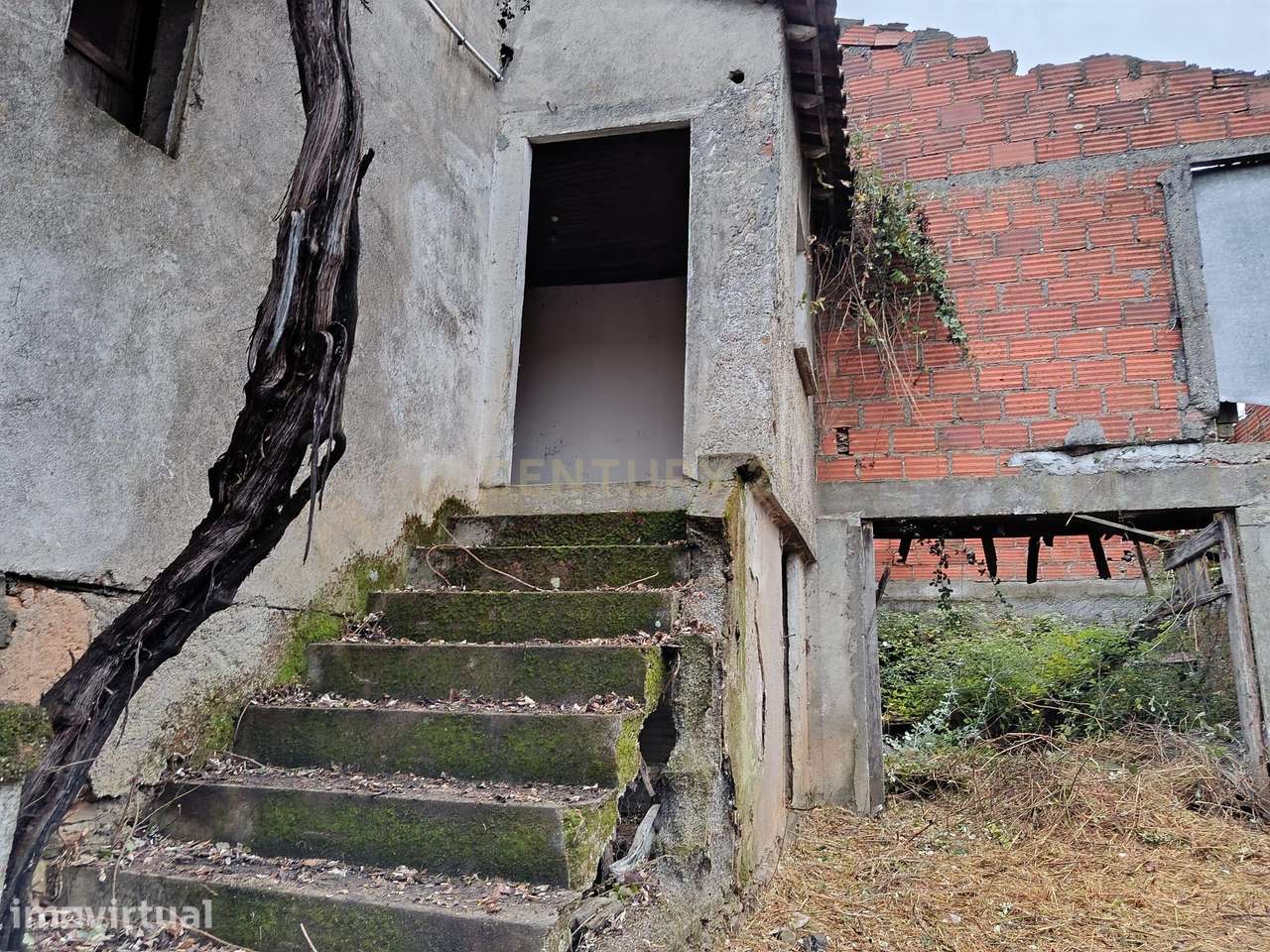 Moradia para recuperar em São Julião de Palácios, Bragança - Grande imagem: 4/11