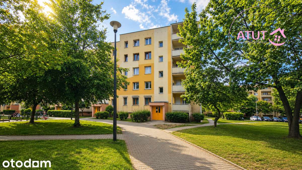 Dwustronne Rozkładowe z Potencjałem 3 pokoi